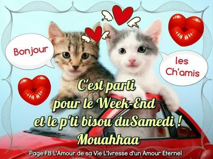 b055e14eae2f7c4cdfd9778257b9c4e7