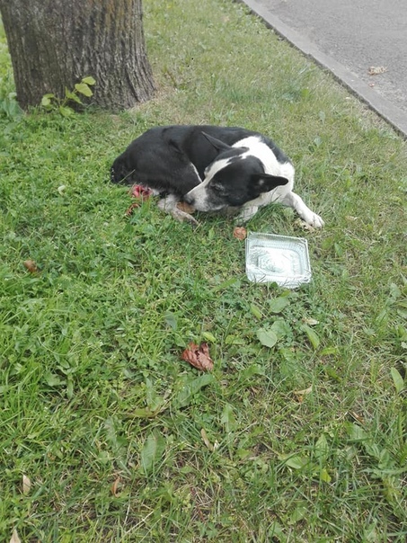 1C47C217-9C7C-4E86-AACD-4A298818ED8A