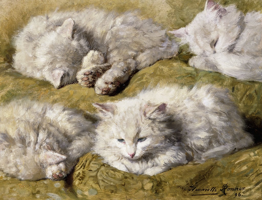 Henritte-Ronner-Knip-Studies-of-a-Long-haired-White-Cat-1896-Meister-Drucke-823325