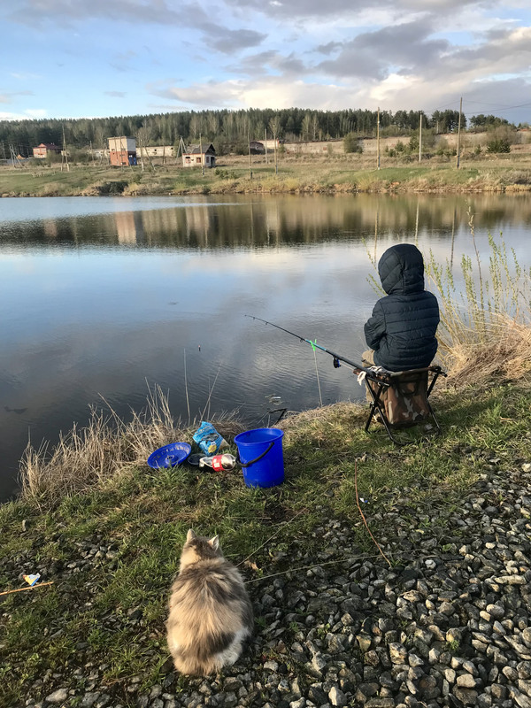 97B9A871-009A-41FD-B412-7908AD901C55