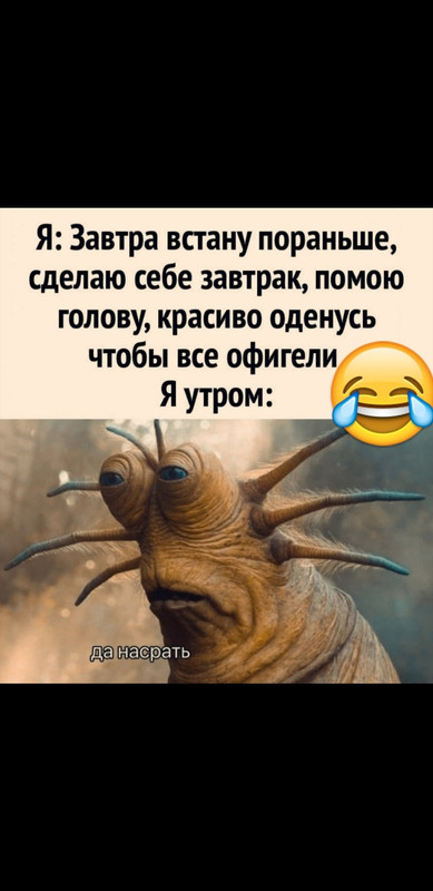 Screenshot_20230225-173449_Gallery