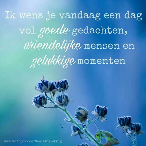 fb13d57fd391bb4fb4e1b683b989acd0