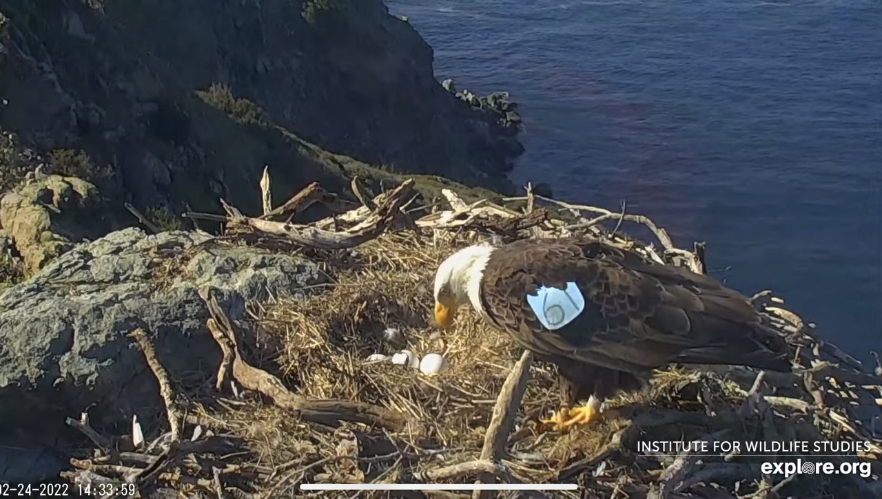 8E9EED1F-70DA-4C15-B89D-58B4FE5A9694