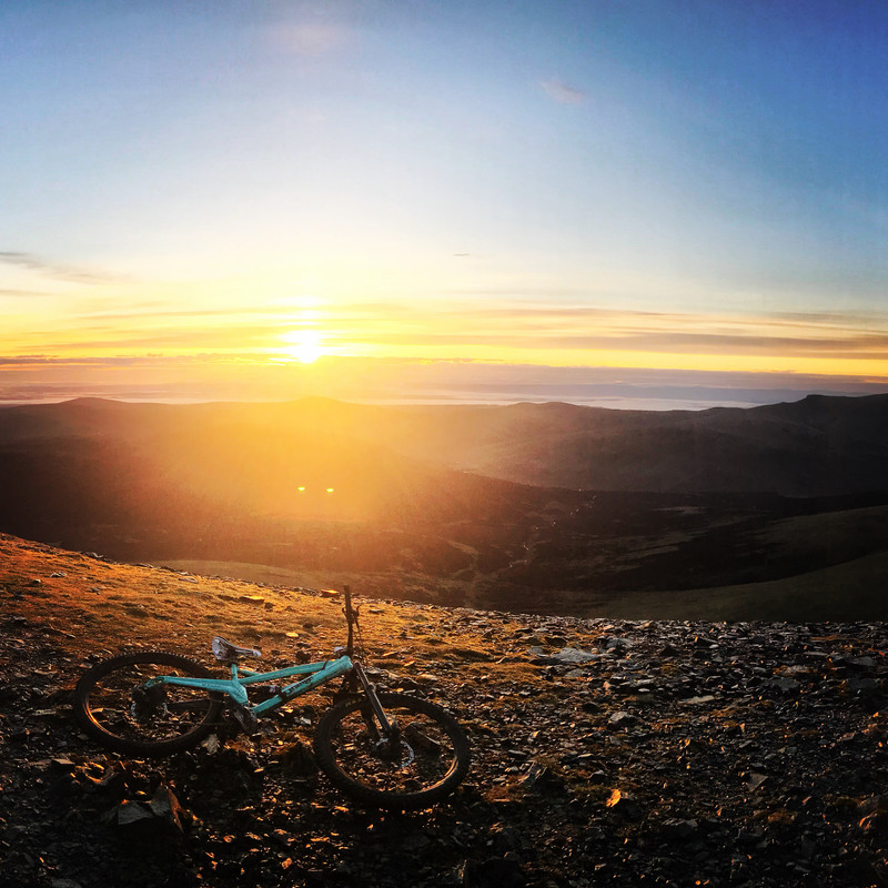 8195856C-846C-4172-9290-B184D11B2667