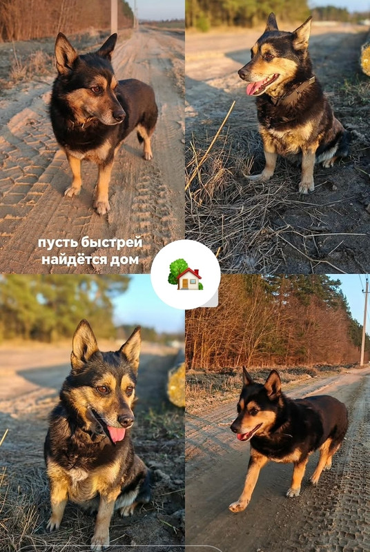 3 z RO4b VC58Jy Rha Sc DBf Xf Znaen B3S2Ld V8Cn8t YSd O9ejec H 8o Fi Cw36E V0Fj Gc Hi5WM2ES9a Dta DY