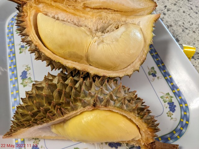 [Image: PXL-20220522-151351515.jpg]