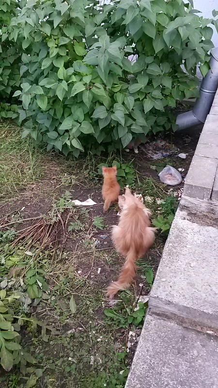 20180704_175507