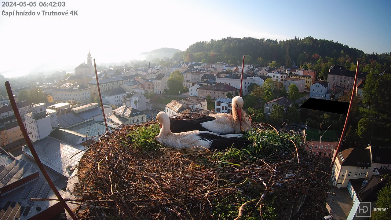 Tiešraidē no stārķa ligzdas uz alus darītavas skursteņa Trutnovā 8-40-12 screenshot