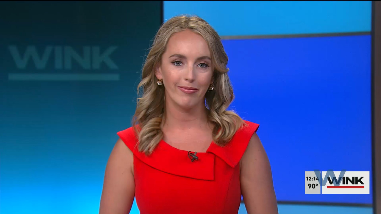 07.12 - 17.00.00 - The WINK Noon News  ᴺᵉʷ. Midday news update..ts_snapshot_21.18.973