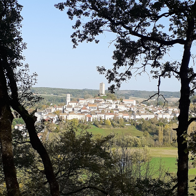 20241031_110617_copy_1544x1544