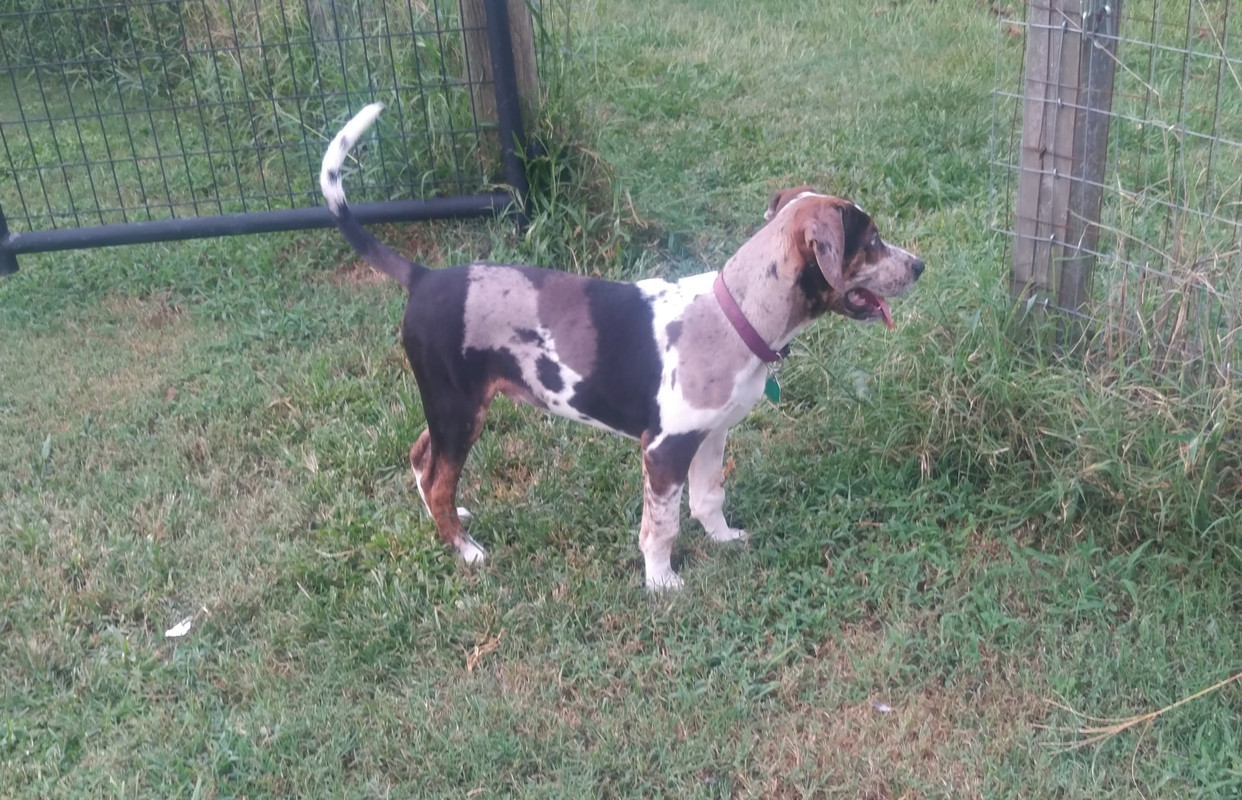 WP_20190914_18_30_53_Pro (2)