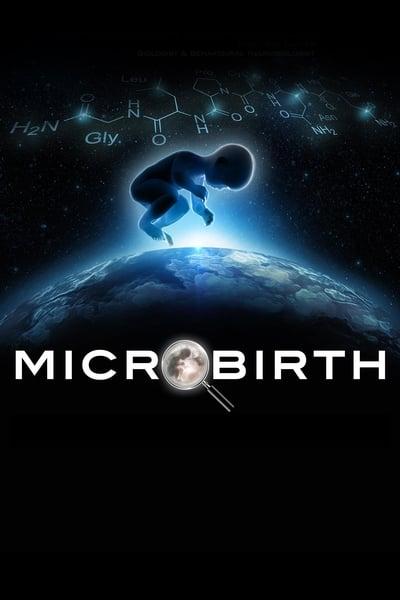 Microbirth 2014 1080p WEBRip x265-RARBG