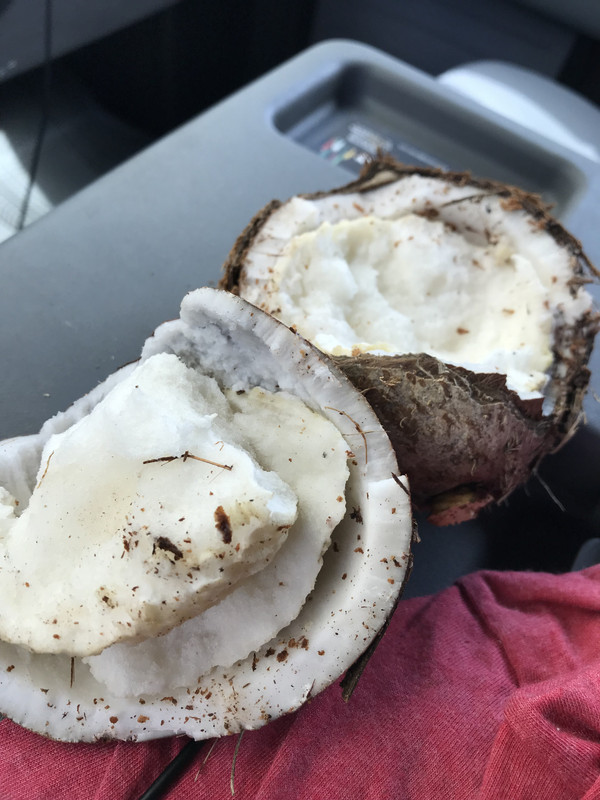 1E8CFD81-96A2-494F-9BD7-620A36376ADB