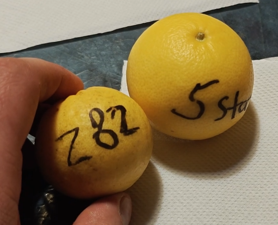 Citrus Z82 v 5Star
