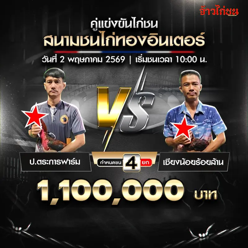 ป.ตระการฟาร์ม พบ เซียงน้อยร้อยล้าน สนามชนไก่ทองอินเตอร์ 2 พฤษภาคม 2569