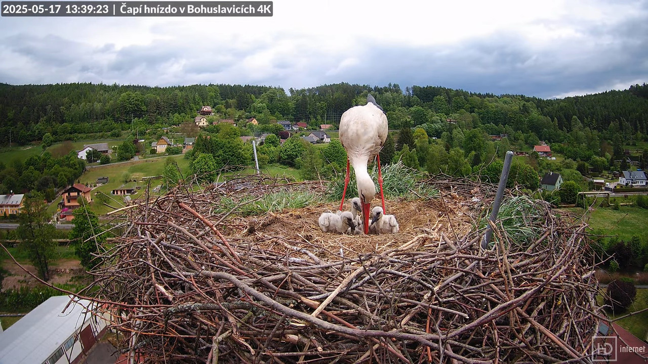 Tiešraide no KARA uzņēmuma stārķu skursteņa Bohuslavicē netālu no Trutnovas 14-45-23 screenshot