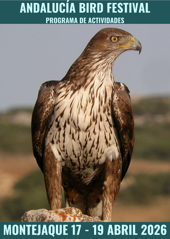 Andalucía Bird Festival - del 17 al 19 de abril de 2026
