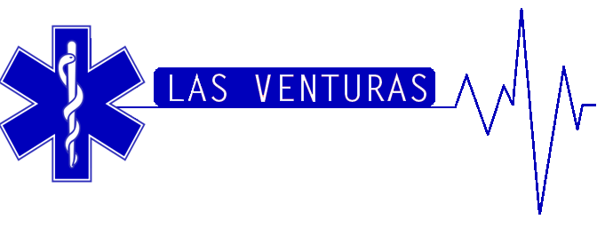 LVMS-logo-v1.png