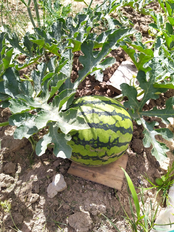 8859A920-AD96-4212-8D8B-61B57048BF25