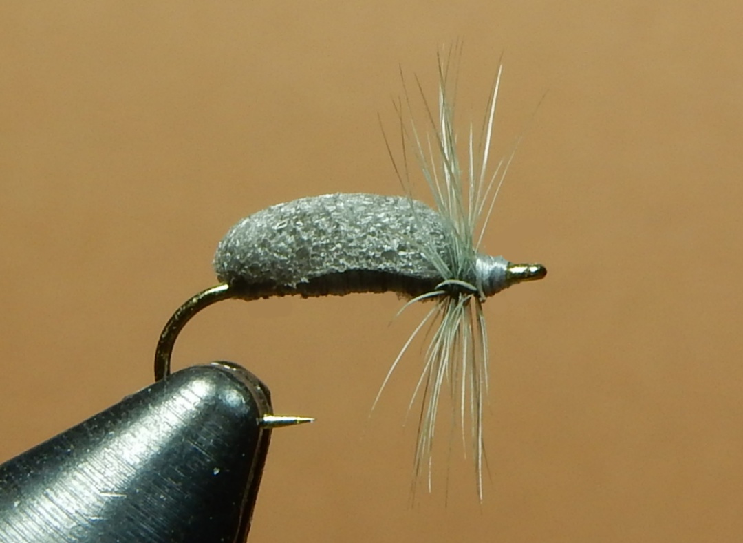 W-S-Caddis-Pupa-1080.jpg
