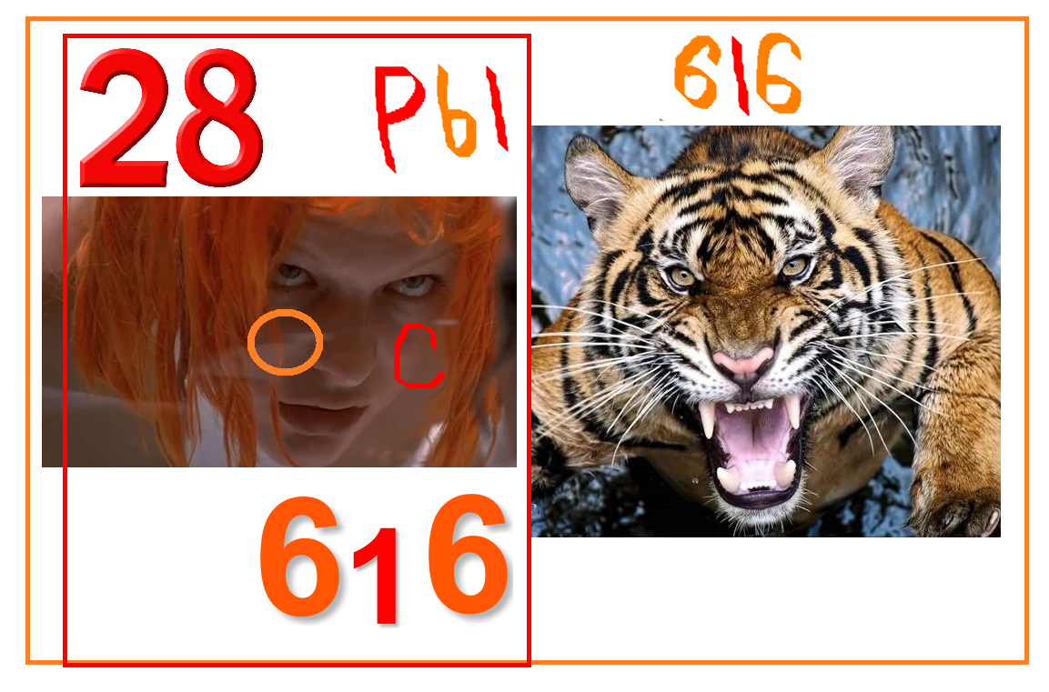 https://i.postimg.cc/rFBhLRpS/104.png