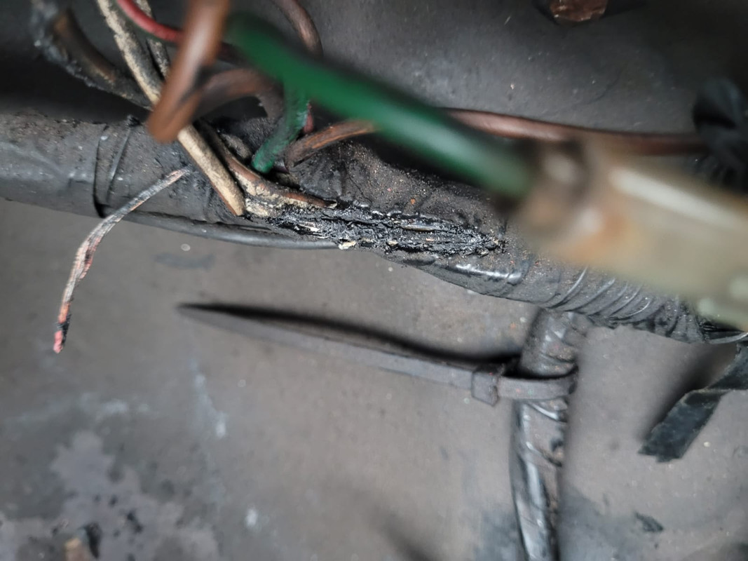 Img 20240216 Wa0008 Postimages