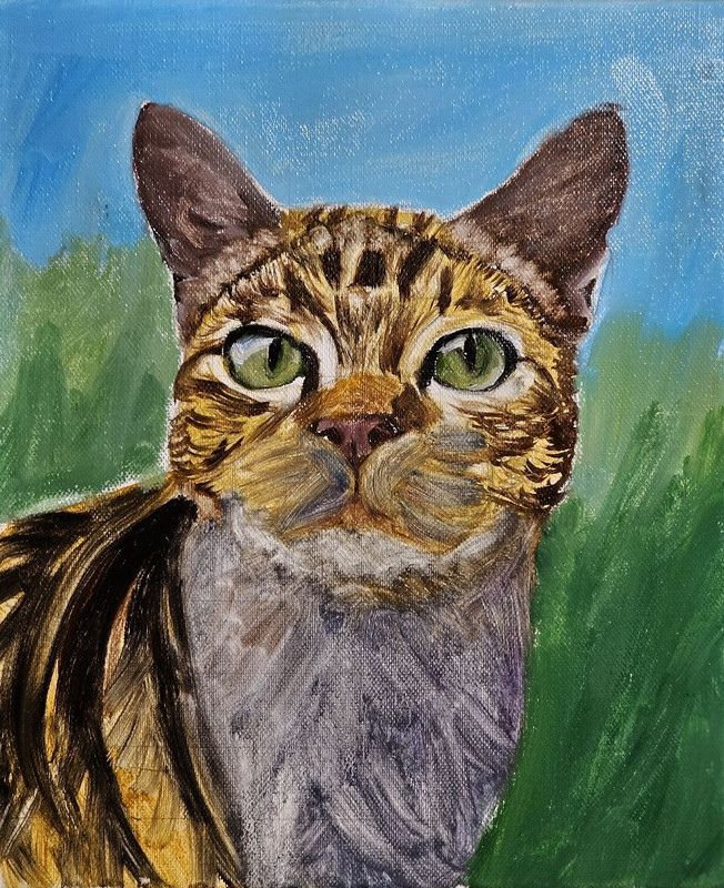 577078843-884028797304121-52190438315719212-n