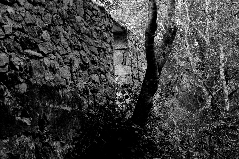 Hive-Vinhas-Ruins-Bn-W-10.jpg