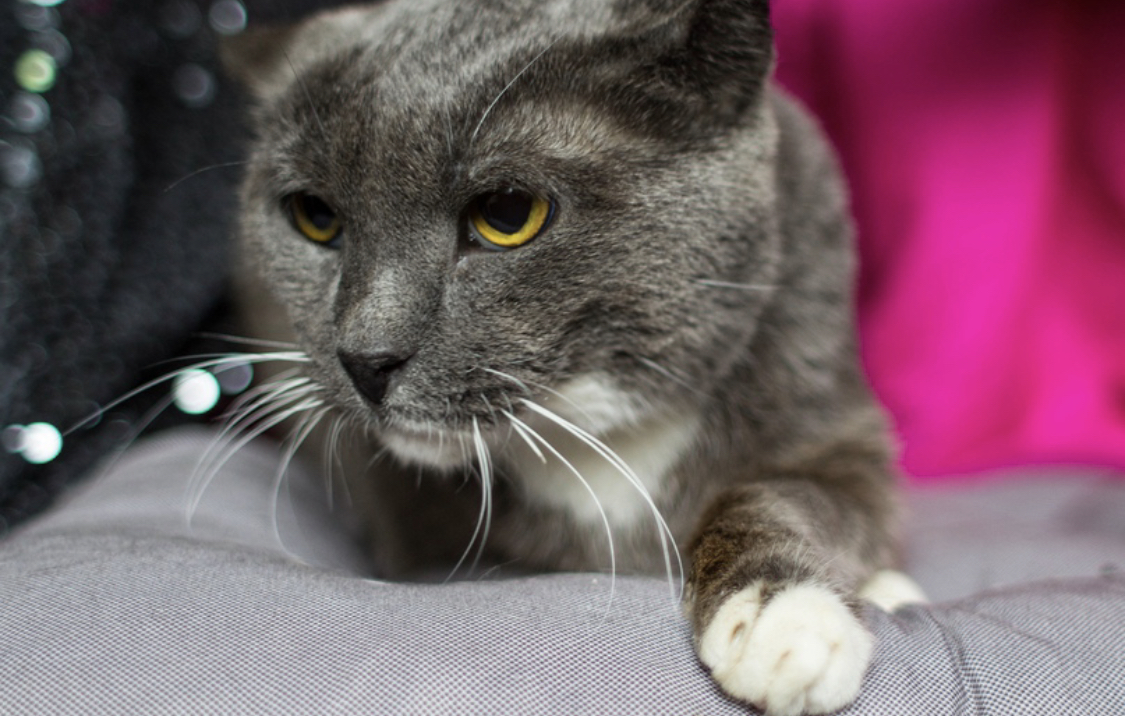 2DF74992-85D1-4D08-A67E-395965C5A268