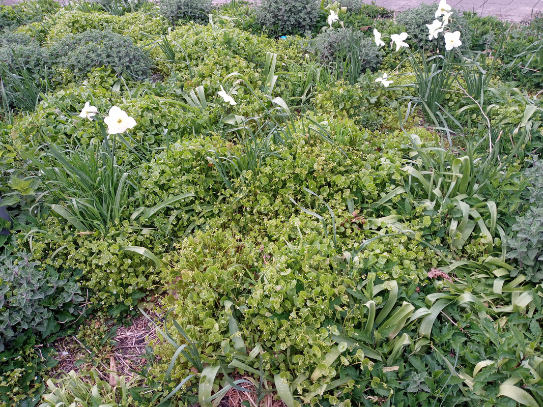 [Image: 20220415-191331.jpg]