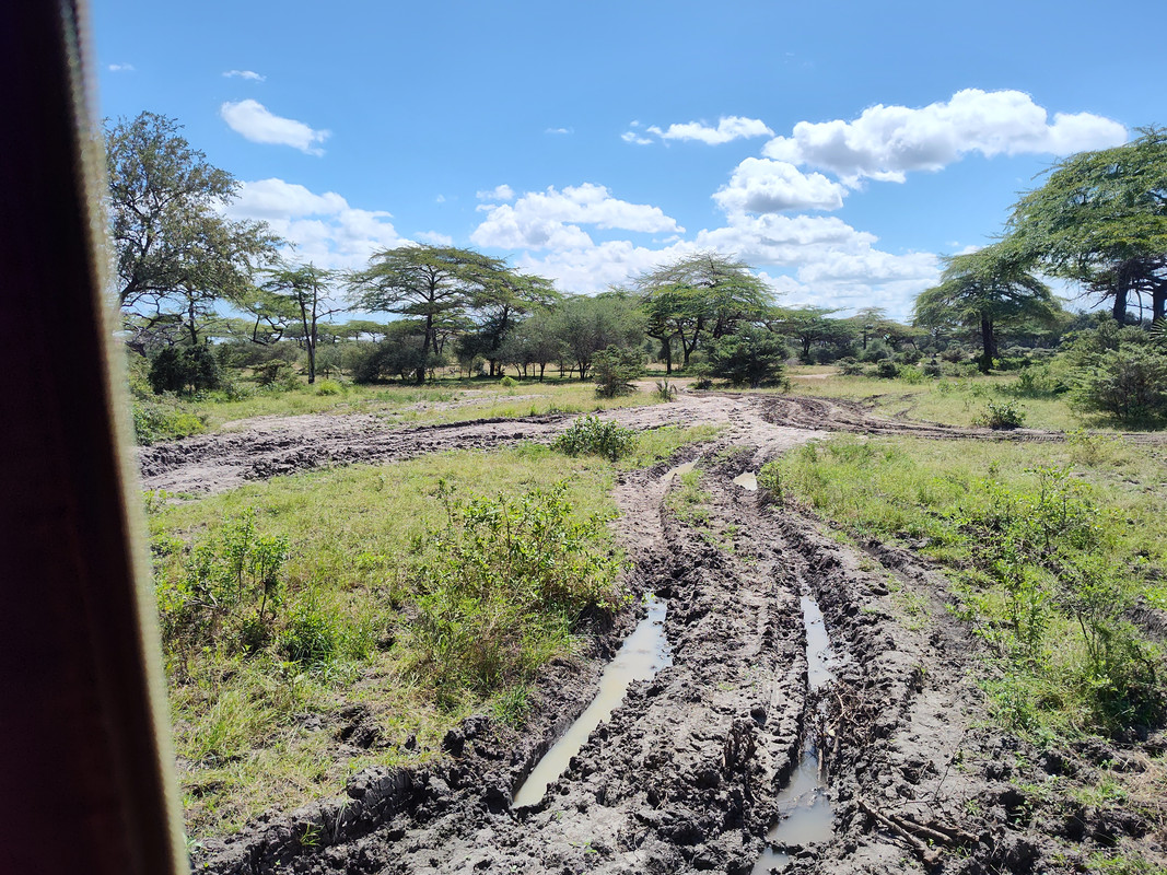 IMG_20250614_125610626_HDR