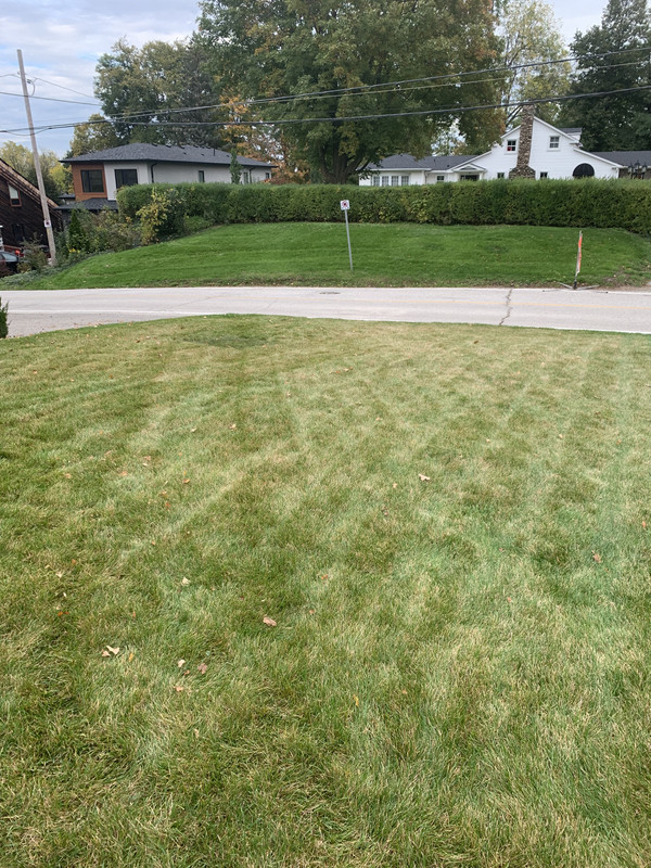 A4FAA6CD-72EB-4DAF-B9F5-06CA87043B8A