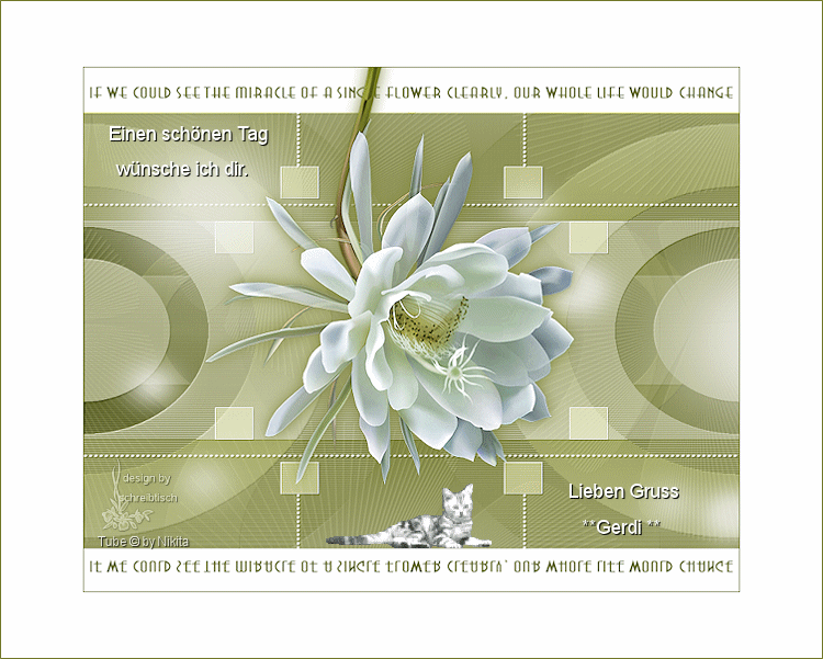 An den Beitrag angehängtes Bild: https://i.postimg.cc/rFCYxjSQ/02-03-19.gif