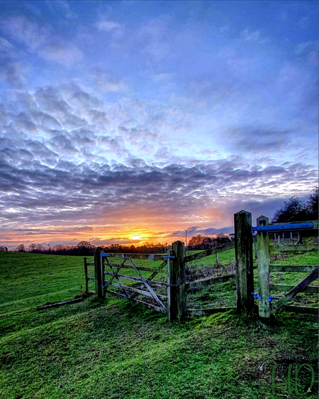 sunset-HD.png