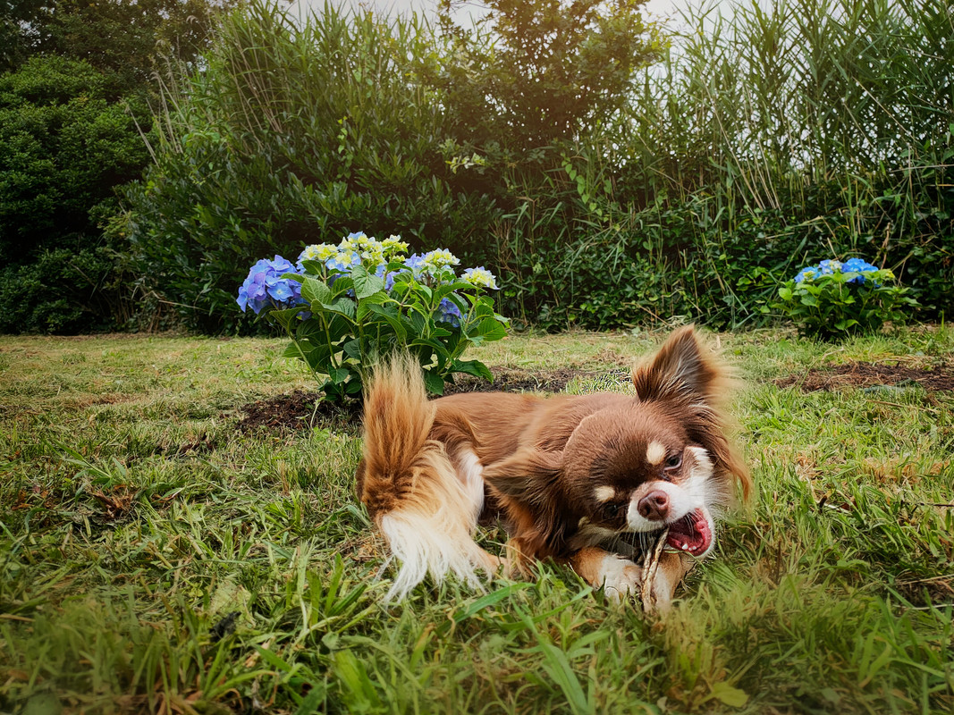 Lumii_20210724_200148283