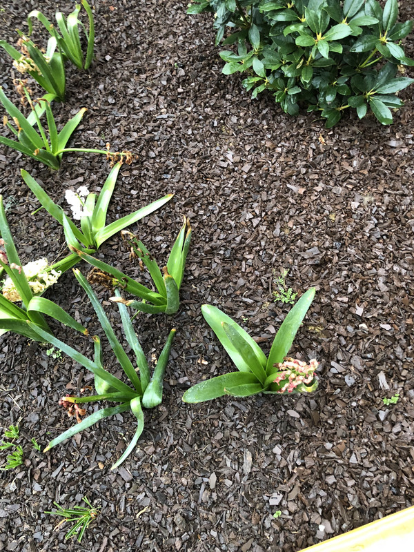 178E25FB-D0B0-4184-A7D8-D69FECF23DF1