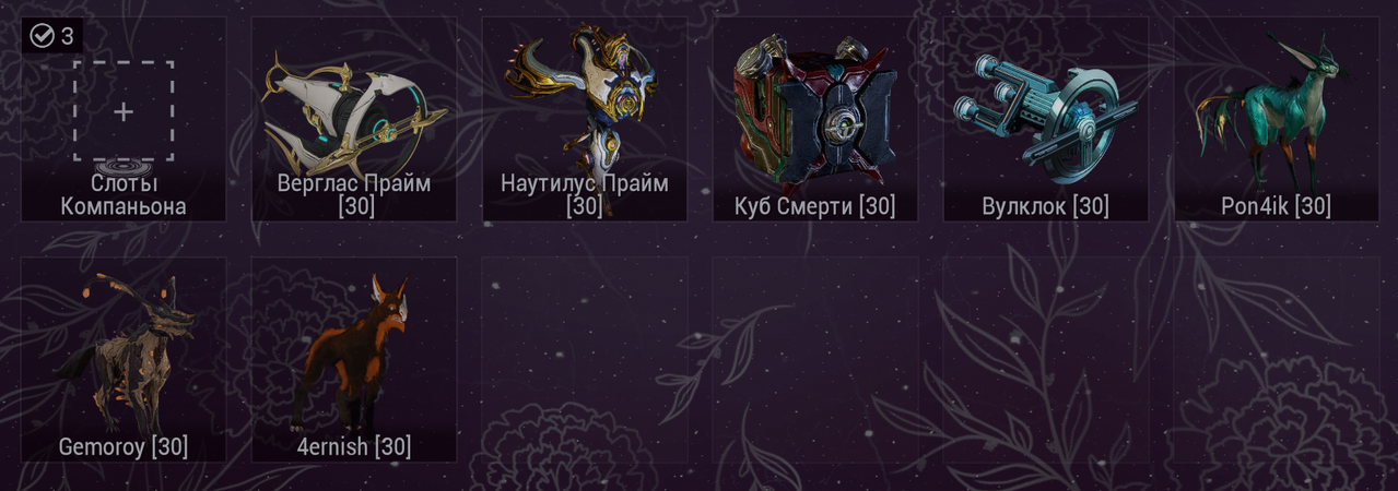 компань