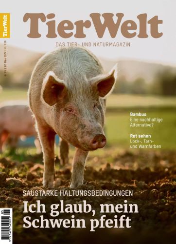 Cover: TierWelt Magazin No 05 vom 07  März 2024