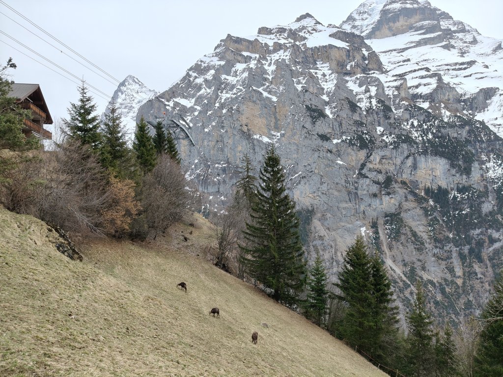 https://i.postimg.cc/rFDRPHNB/IMG20250321110020.jpg