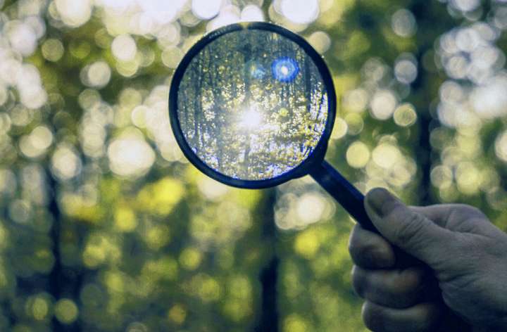 Preserve and Expand the Image of Your Brand