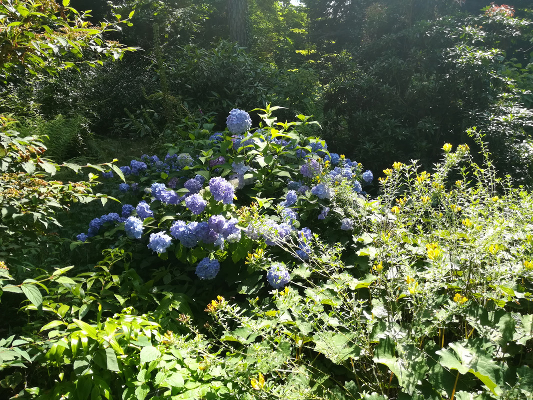 012 - IMG_20190714_144300