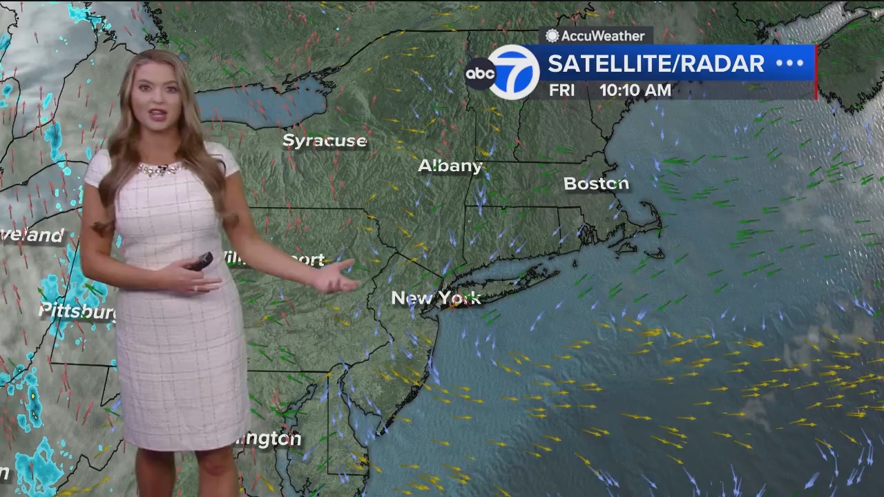 Eyewitness News Mornings at 10_20240816_15001600.ts_snapshot_00.16.05.756