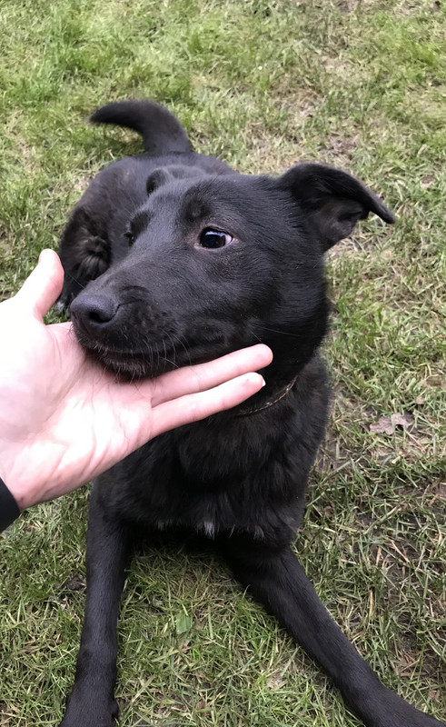 C73A2868-CD56-4BA4-933A-2B929B1473EA