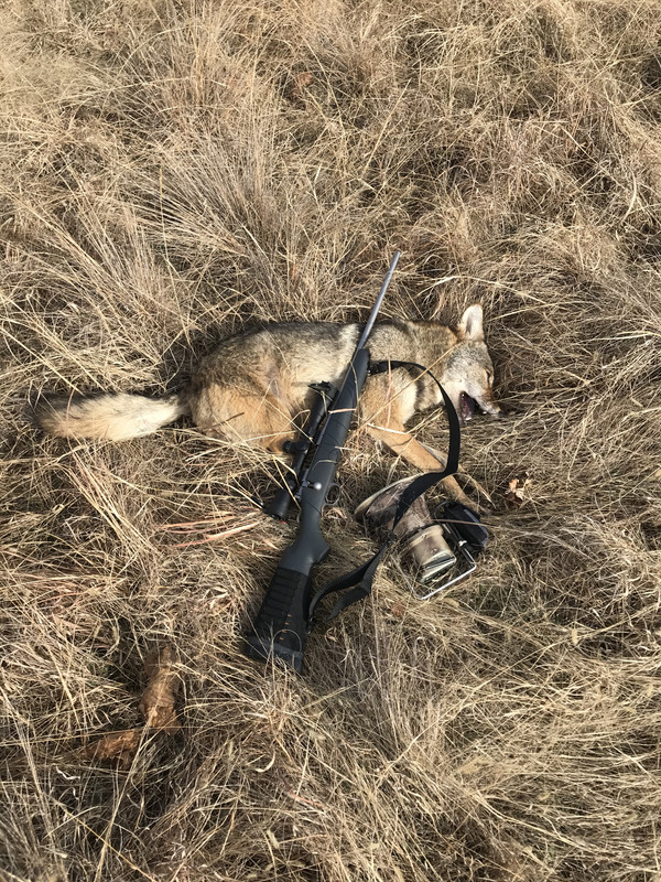 A83237FE-BEA4-4B01-999C-4542EE611E44