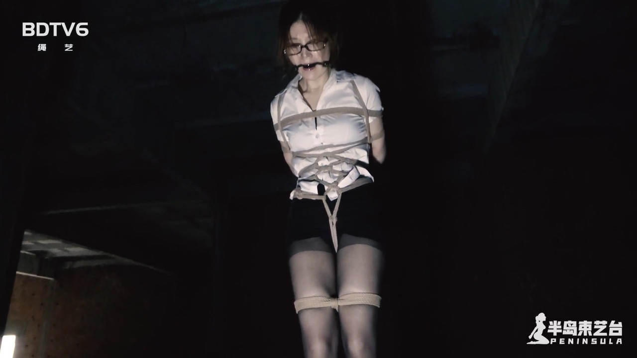 半岛束艺 古墓丽影 下 鹿野.mp4_20201118_132906.411