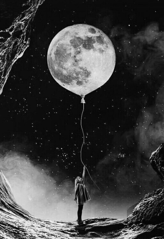 Screenshot_20231128_232101_Pinterest