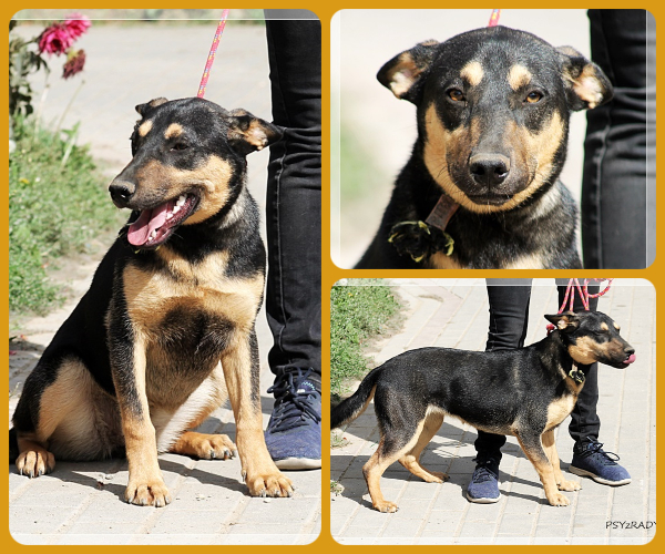 BeFunky-collage (20)