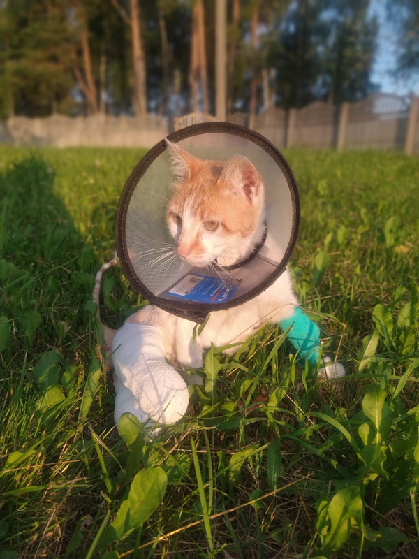 изображение_viber_2022-07-02_21-41-55-665