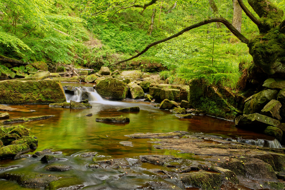 greenrivereskyorkshire.jpg