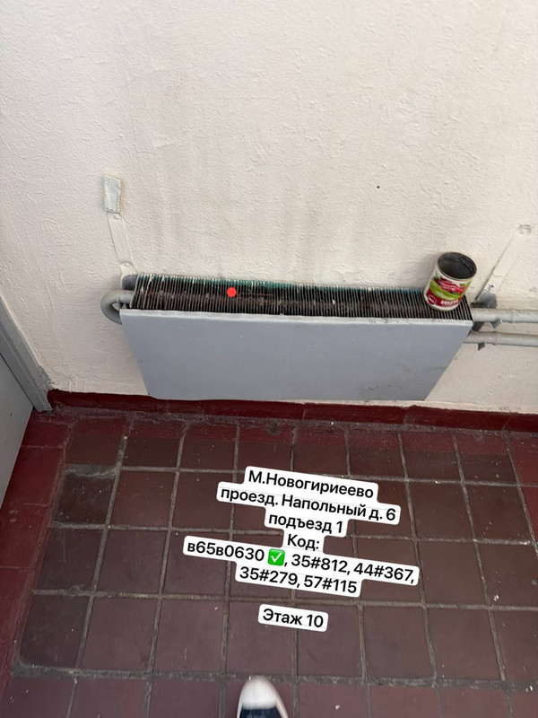 photo 19 2026 04 07 20 56 10